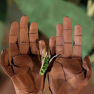 Bilder Unser Saatgut - Wir ernten, was wir säen