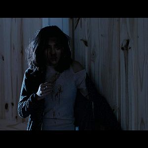 Bilder House on Elm Lake