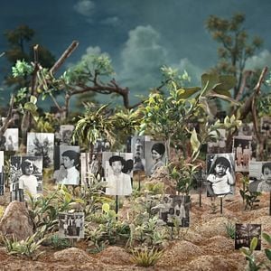 Bilder Graves Without a Name