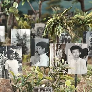 Bilder Graves Without a Name