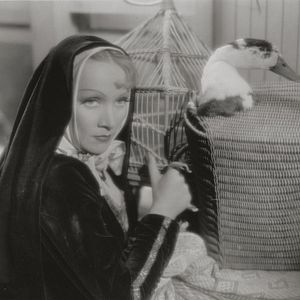 Bilder Der Teufel ist eine Frau