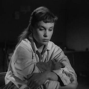 Bilder Nahe dem Leben