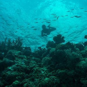 Bilder An den Rändern der Welt