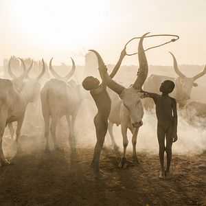 Bilder An den Rändern der Welt