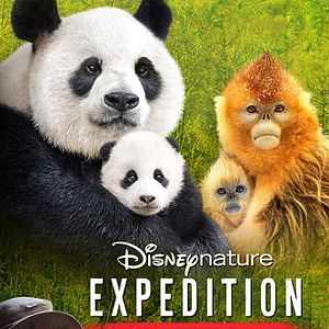 Bilder Expedition China