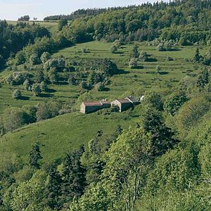 Bilder Lucie, Après Moi Le Déluge