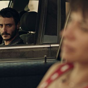 Bilder Animales sin collar