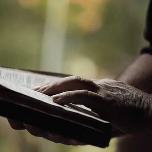 Bilder Nosotros las piedras