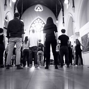 Bilder Pink Elephants