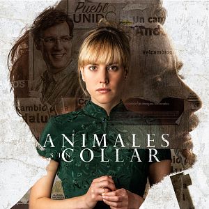 Bilder Animales sin collar