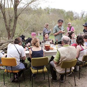 Bilder Von Bienen und Blumen