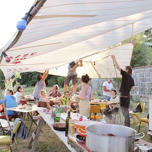 Bilder Von Bienen und Blumen