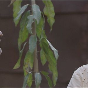 Bilder La Música de las Esferas