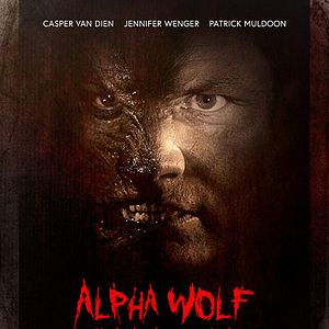 Bilder Alpha Wolf