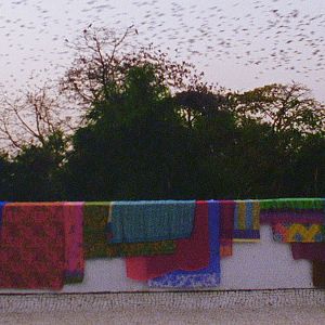 Bilder The Grand Bizarre