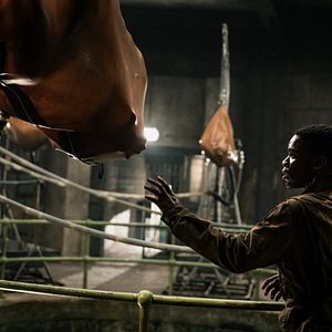 Bilder Operation: Overlord