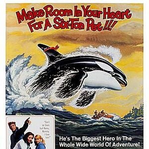 Bilder Namu, der Killerwal