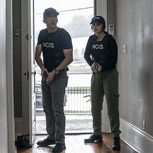 Bilder Vanessa Ferlito