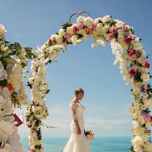 Bilder Superfamily 2