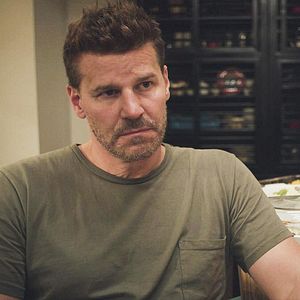 Bilder David Boreanaz