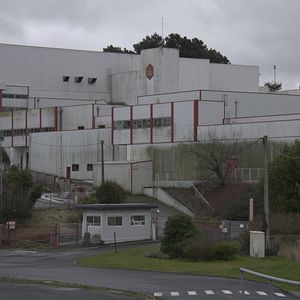 Bilder Les Illettrées