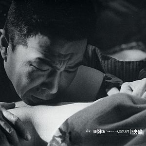 Bilder Einführung in die Menschenkunde