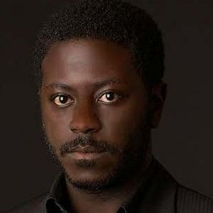 Bilder Andre Dongelmans