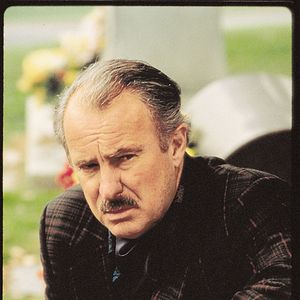 Bilder Schlappe Bullen beißen nicht