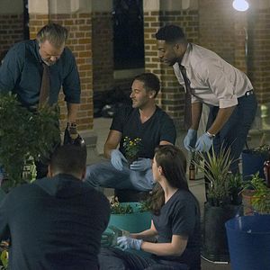 Bilder Janet Montgomery