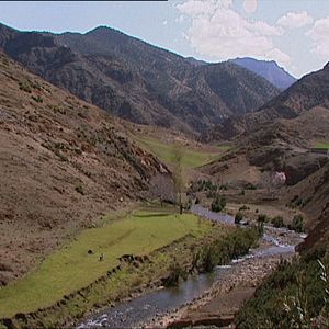 Bilder Lo posible y lo necesario