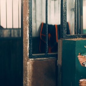 Bilder Bizim Için Sampiyon