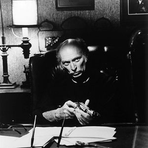 Bilder Die Klapperschlange