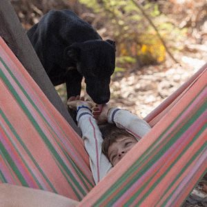 Bilder Too Late To Die Young