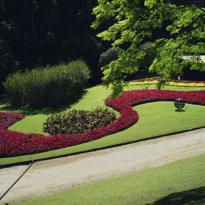 Bilder Filme Paisagem - Um Olhar Sobre Roberto Burle Marx
