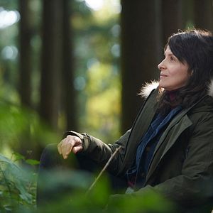 Bilder Die Blüte des Einklangs