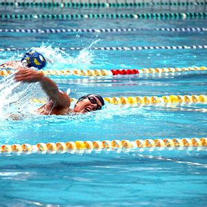 Bilder A Day for Susana