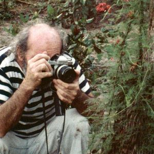 Bilder Frans Krajcberg: Manifesto