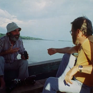 Bilder Frans Krajcberg: Manifesto