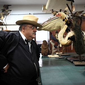 Bilder Rio da Dúvida