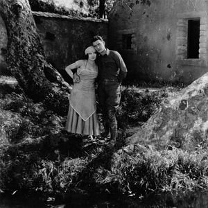 Bilder Die große Parade