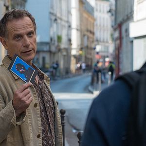 Bilder Un beau voyou