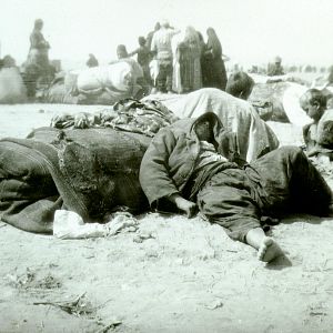 Bilder Die Austreibung des armenischen Volkes in die Wüste