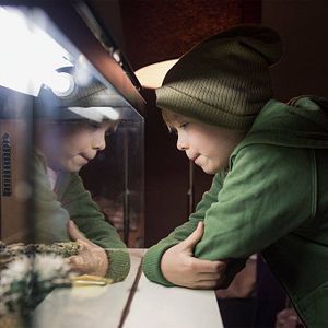 Bilder East of Sweden