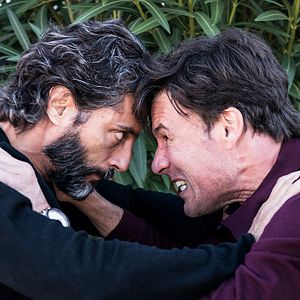 Bilder Der Baum des Blutes