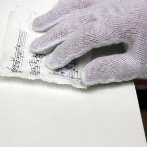 Bilder The Maestro, in Search of the Last Music