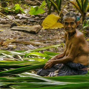 Bilder Nous, Tikopia