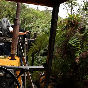 Bilder Gilda Brasileiro - Contra o Esquecimento