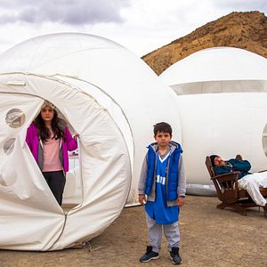 Bilder Tito, der Professor und die Aliens