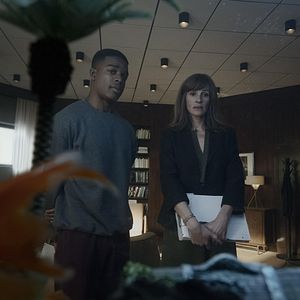 Bilder Stephan James