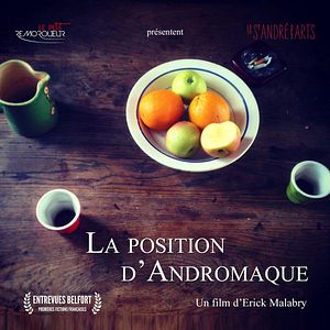 Bilder La Position d'Andromaque